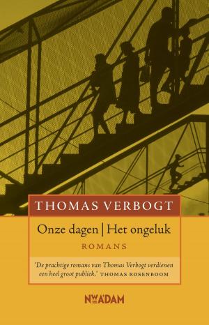 Cover of the book Onze dagen - Het ongeluk by Paul Vugts