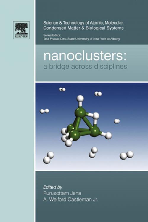 Cover of the book Nanoclusters by Purusottam Jena, A. Welford Castleman, Jr. Jr., Elsevier Science