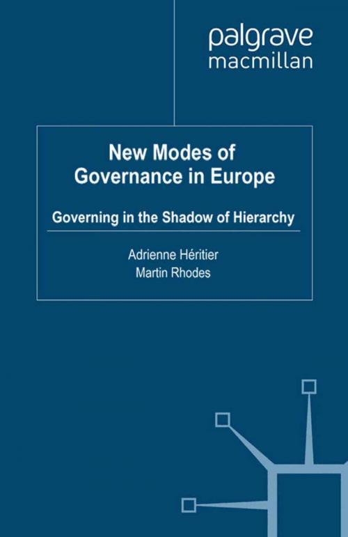 Cover of the book New Modes of Governance in Europe by , Palgrave Macmillan UK