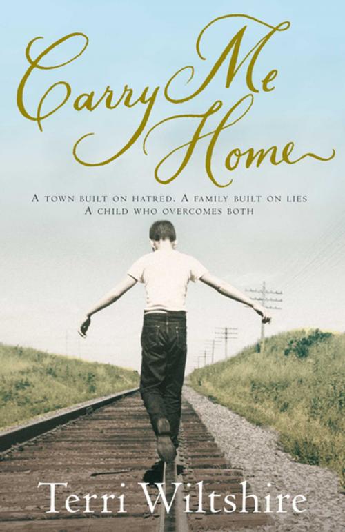 Cover of the book Carry Me Home by Terri Wiltshire, Pan Macmillan