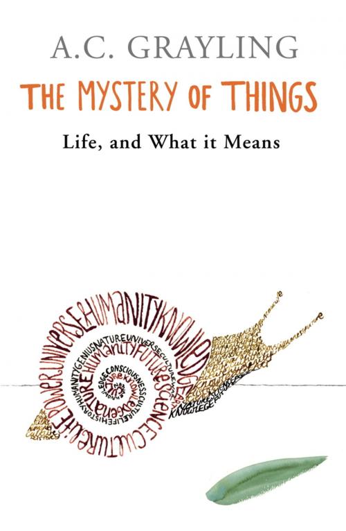 Cover of the book The Mystery of Things by A.C. Grayling, Orion Publishing Group