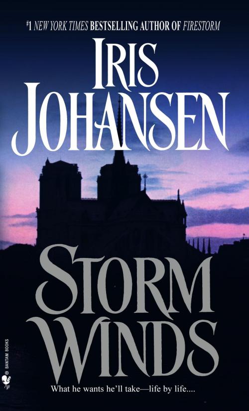 Cover of the book Storm Winds by Iris Johansen, Random House Publishing Group