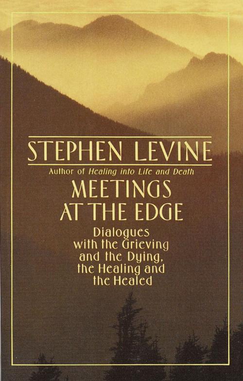 Cover of the book Meetings at the Edge by Stephen Levine, Knopf Doubleday Publishing Group