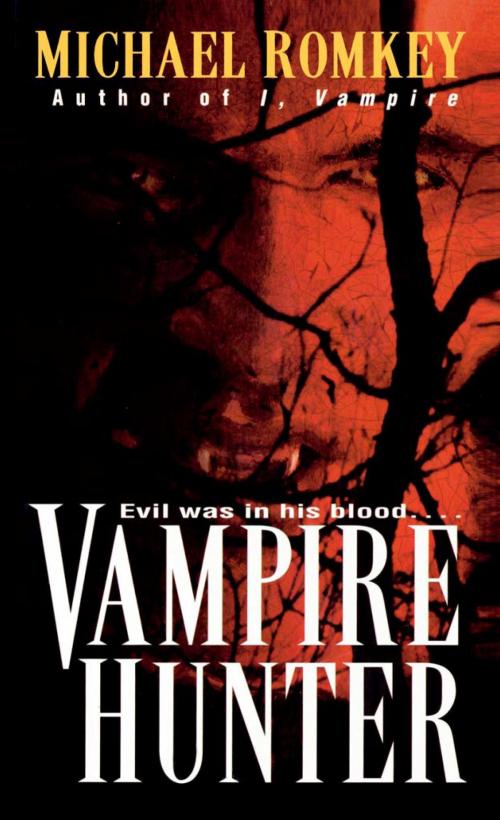 Cover of the book Vampire Hunter by Michael Romkey, Random House Publishing Group