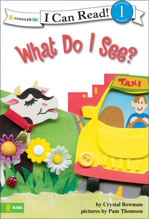 Cover of the book What Do I See? by Crystal Bowman, Zonderkidz