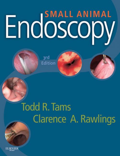 Cover of the book Small Animal Endoscopy - E-Book by Todd R. Tams, DVM, DACVIM, Clarence A. Rawlings, DVM, PhD, DACVS, Elsevier Health Sciences