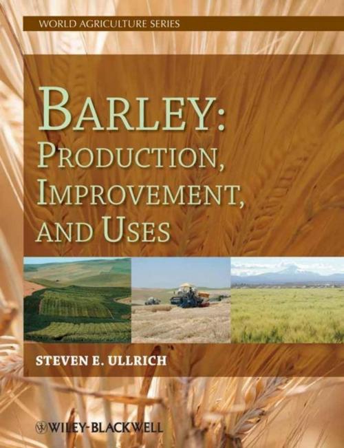 Cover of the book Barley by Steven E. Ullrich, Wiley