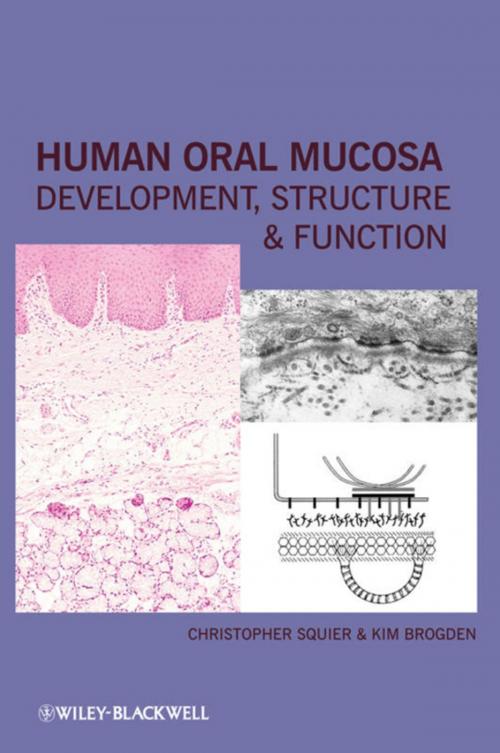 Cover of the book Human Oral Mucosa by Christopher Squier, Kim Brogden, Wiley
