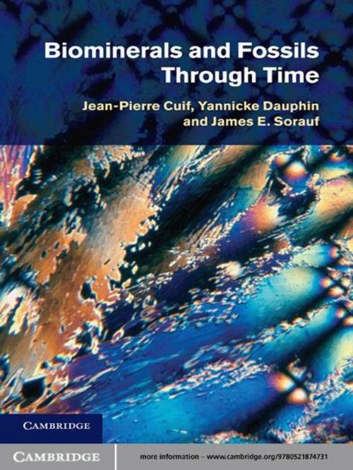 Cover of the book Biominerals and Fossils Through Time by Jean-Pierre Cuif, Yannicke Dauphin, James E. Sorauf, Cambridge University Press
