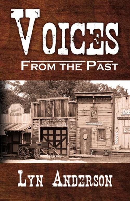 Cover of the book Voices From The Past by Lyn Anderson, Infinity Publishing