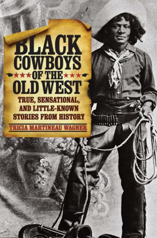 Cover of the book Black Cowboys of the Old West by Tricia Martineau Wagner, TwoDot
