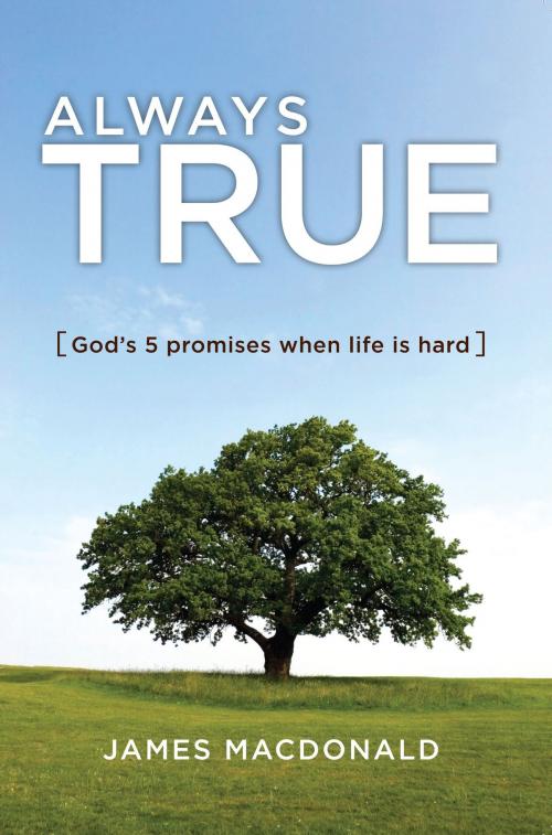 Cover of the book Always True by James MacDonald, Moody Publishers