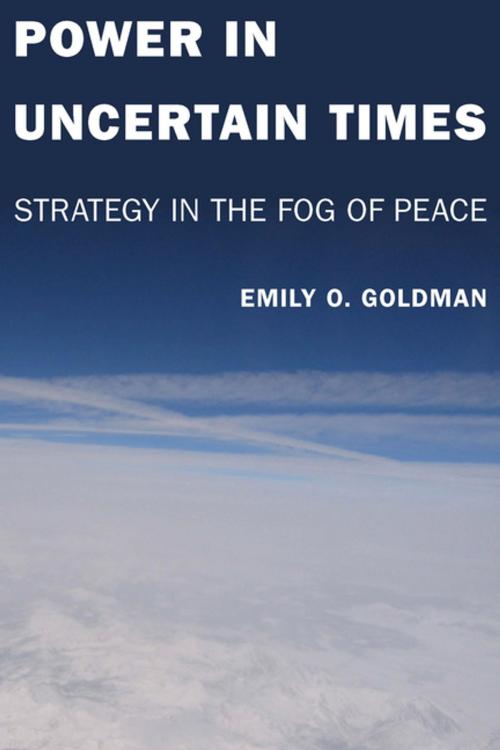 Cover of the book Power in Uncertain Times by Emily Goldman, Stanford University Press