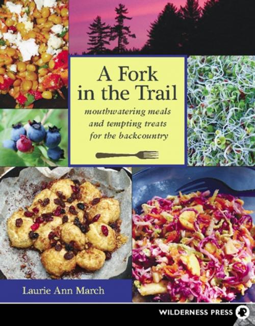 Cover of the book Fork in the Trail by Laurie Ann March, Wilderness Press