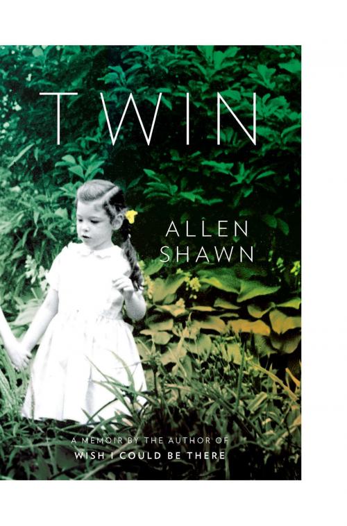 Cover of the book Twin by Allen Shawn, Penguin Publishing Group
