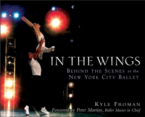 Cover of the book In the Wings by Kyle Froman, Turner Publishing Company