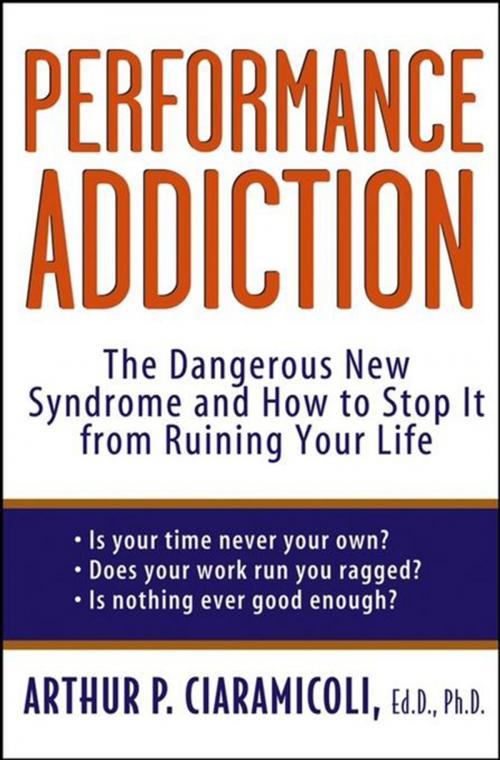 Cover of the book Performance Addiction by Arthur Ciaramicoli, Turner Publishing Company