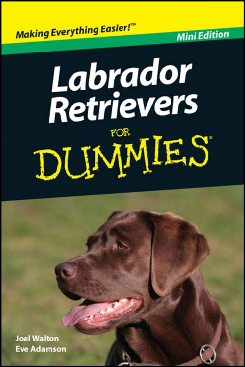 Cover of the book Labrador Retrievers For Dummies, Mini Edition by Walton, Eve Adamson, Wiley