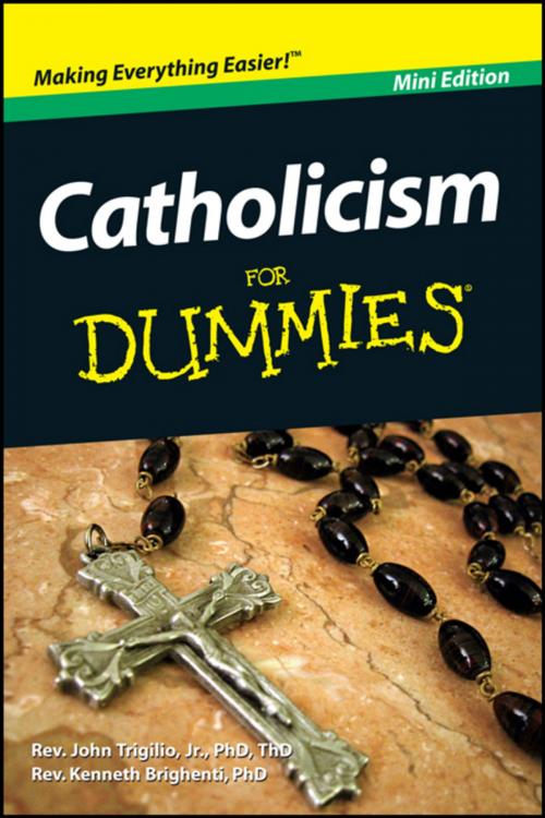 Cover of the book Catholicism For Dummies, Mini Edition by Rev. Kenneth Brighenti, Rev. John Trigilio Jr., Wiley
