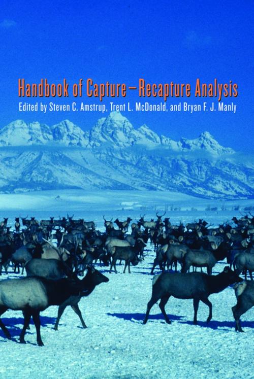 Cover of the book Handbook of Capture-Recapture Analysis by , Princeton University Press