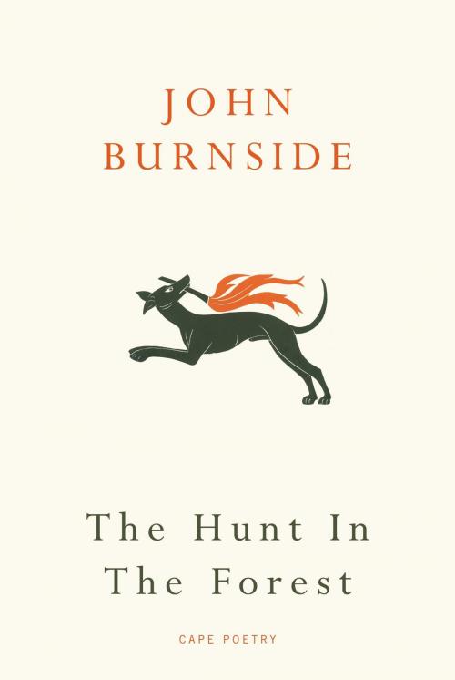 Cover of the book The Hunt in the Forest by John Burnside, Random House
