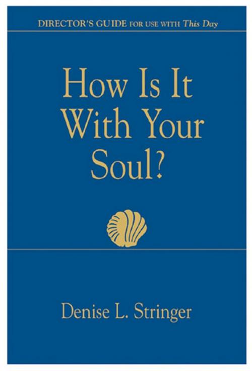 Cover of the book How Is It With Your Soul (Director Guide) by Denise Stringer, Abingdon Press