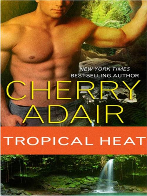 Cover of the book Tropical Heat by Cherry Adair, St. Martin's Press