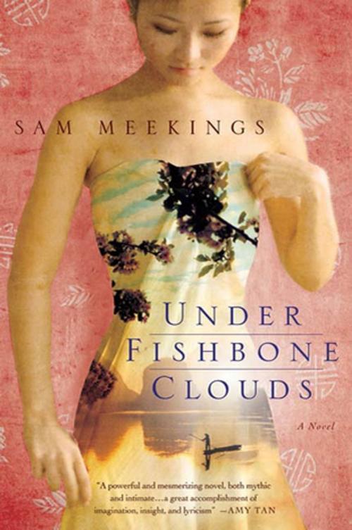 Cover of the book Under Fishbone Clouds by Sam Meekings, St. Martin's Publishing Group