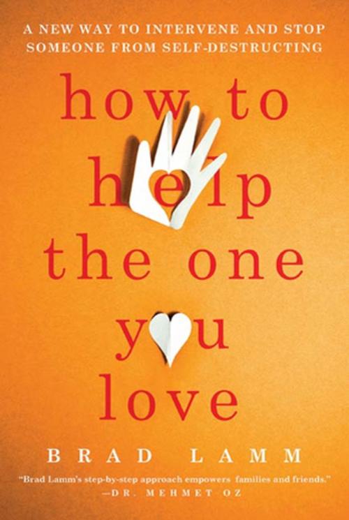Cover of the book How to Help the One You Love by Brad Lamm, St. Martin's Publishing Group