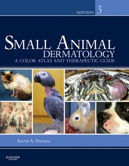 Cover of the book Small Animal Dermatology - E-Book by Keith A. Hnilica, DVM, MS, DACVD, MBA, Elsevier Health Sciences