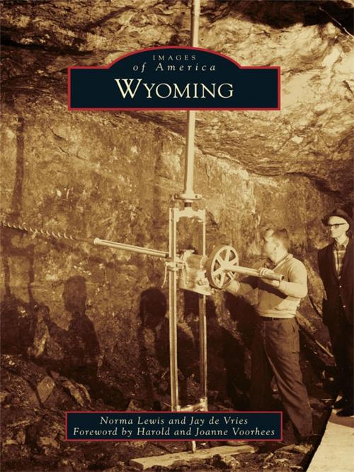 Cover of the book Wyoming by Norma Lewis, Jay de Vries, Arcadia Publishing Inc.