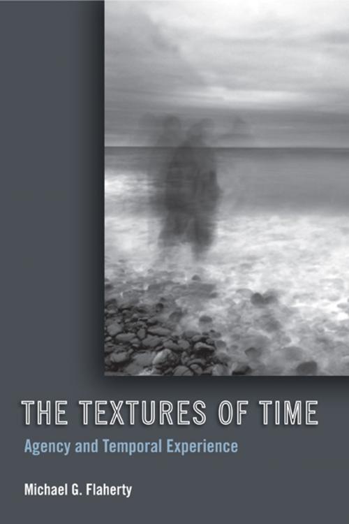Cover of the book The Textures of Time by Michael G. Flaherty, Temple University Press