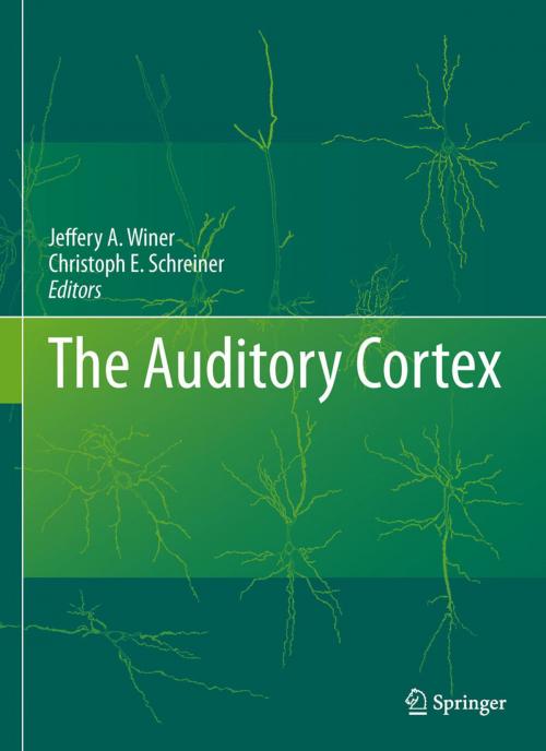Cover of the book The Auditory Cortex by , Springer US