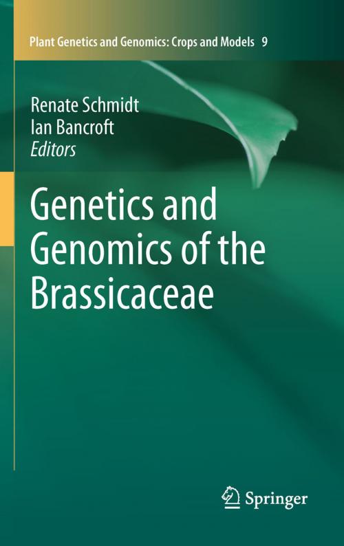 Cover of the book Genetics and Genomics of the Brassicaceae by , Springer New York