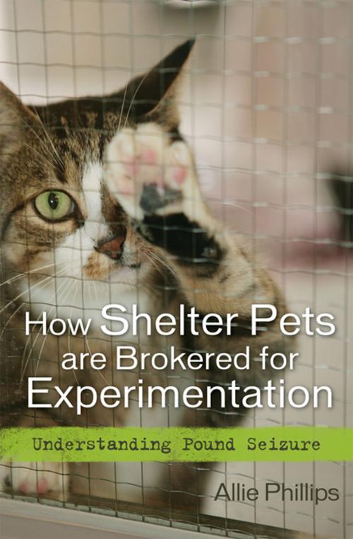 Cover of the book How Shelter Pets are Brokered for Experimentation by Allie Phillips, Rowman & Littlefield Publishers