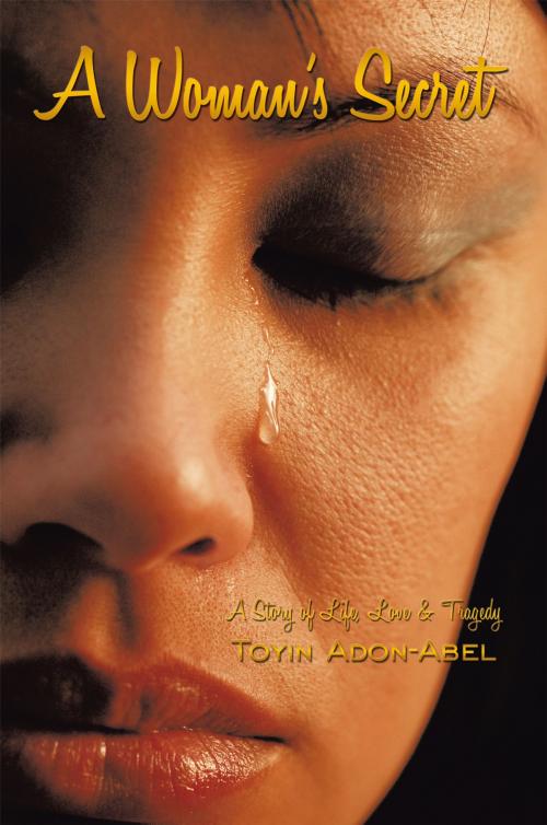 Cover of the book A Woman's Secret by Toyin Adon-Abel, AuthorHouse