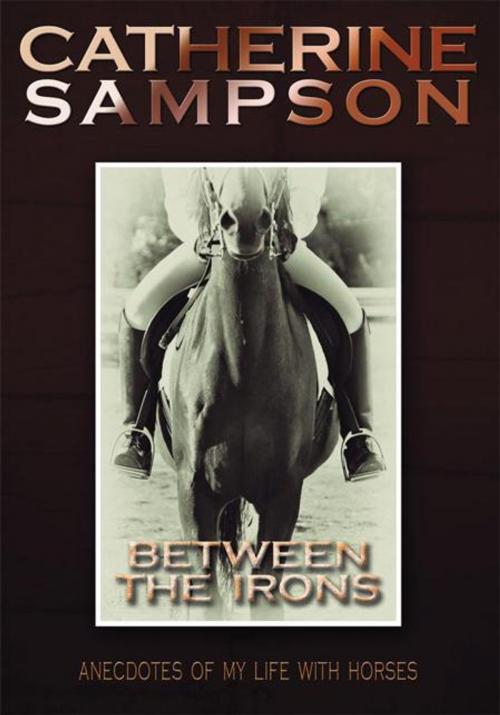 Cover of the book Between the Irons by Catherine Sampson, iUniverse