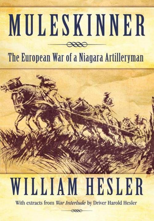 Cover of the book Muleskinner by William Hesler, iUniverse