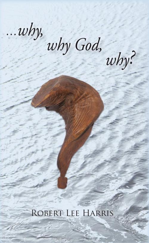 Cover of the book Why Why God Why? by Robert Lee Harris, iUniverse
