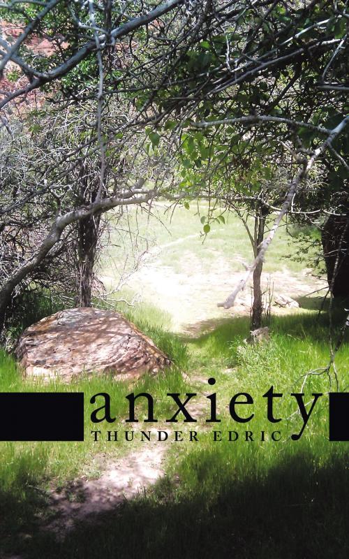 Cover of the book Anxiety by Thunder Edric, AuthorHouse