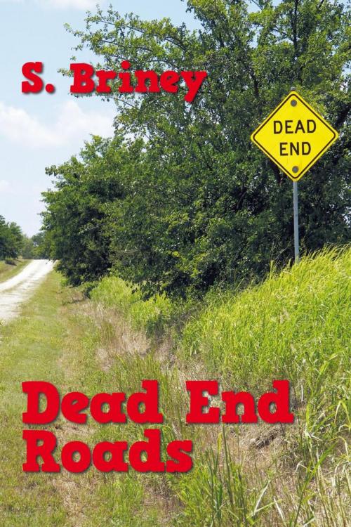 Cover of the book Dead End Roads by S. Briney, AuthorHouse