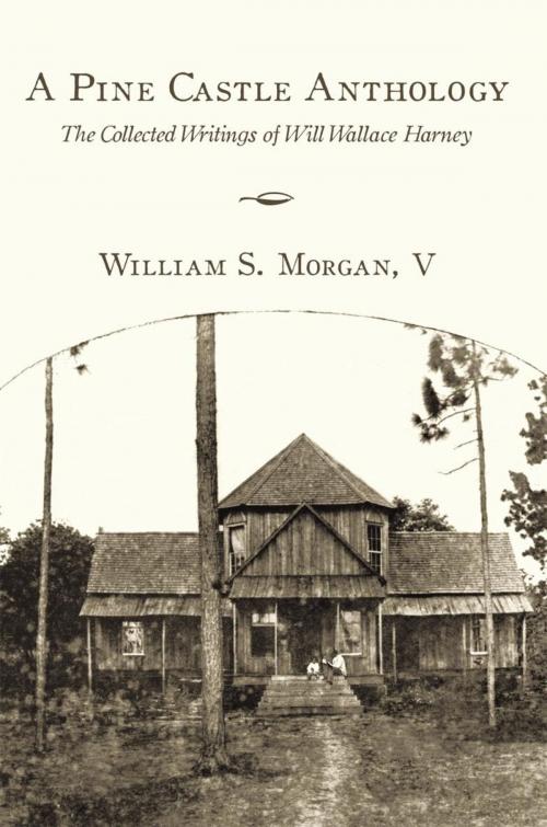 Cover of the book A Pine Castle Anthology by William S. Morgan, AuthorHouse