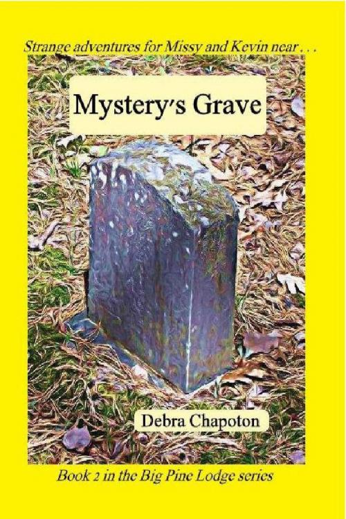 Cover of the book Mystery's Grave by Debra Chapoton, Debra Chapoton