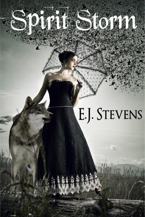 Cover of the book Spirit Storm (Spirit Guide, #2) by E.J. Stevens, E.J. Stevens