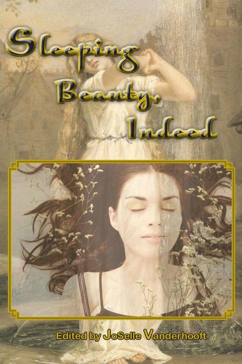 Cover of the book Sleeping Beauty, Indeed & Other Lesbian Fairytales by JoSelle Vanderhooft, Lethe Press, Inc.