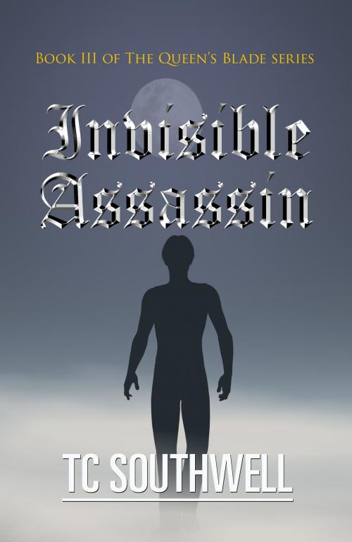 Cover of the book The Queen's Blade III: Invisible Assassin by T C Southwell, T C Southwell