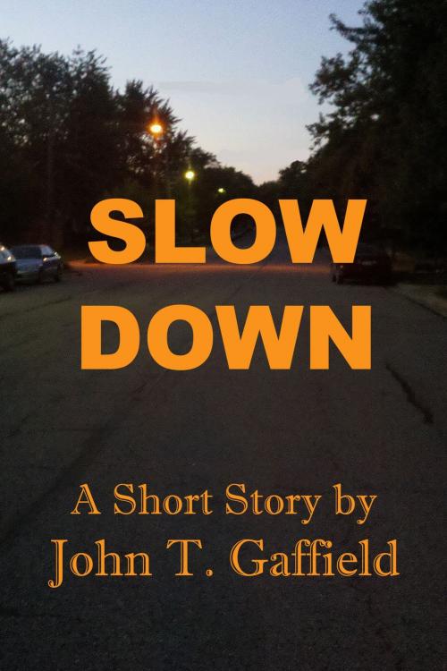Cover of the book Slow Down by John Gaffield, John Gaffield