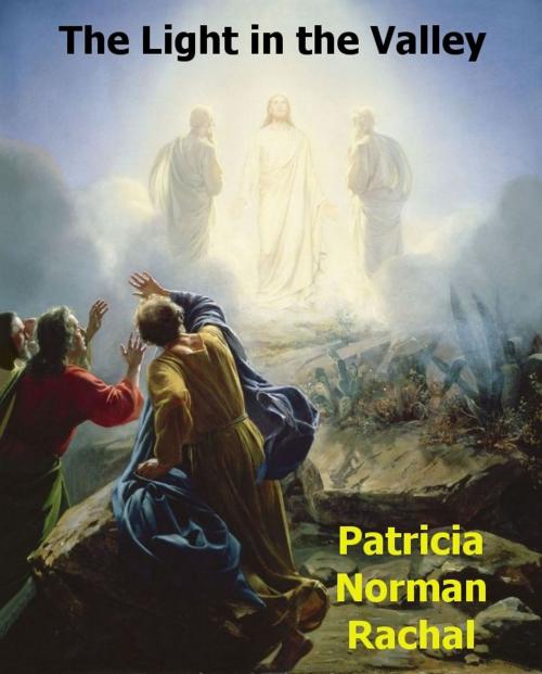 Cover of the book The Light in the Valley by Patricia Norman Rachal, Patricia Norman Rachal