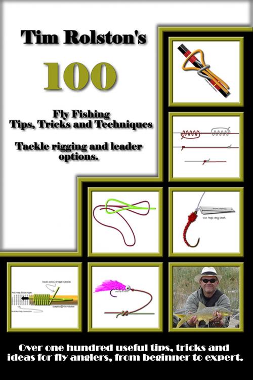 Cover of the book 100 Fly Fishing Tips, Tricks and Techniques by Tim Rolston, Tim Rolston