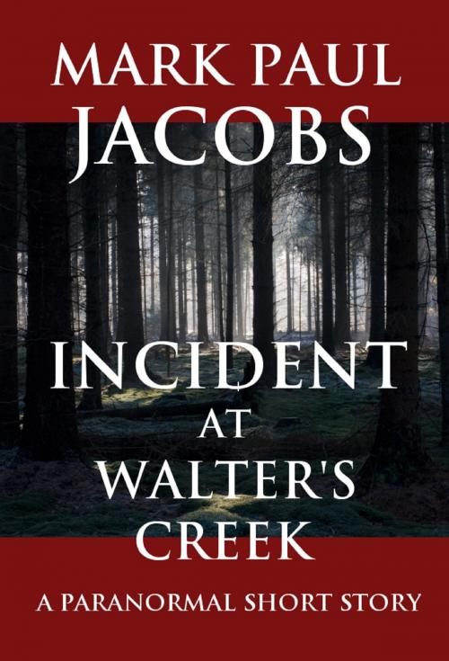 Cover of the book Incident at Walter's Creek by Mark Jacobs, Mark Jacobs